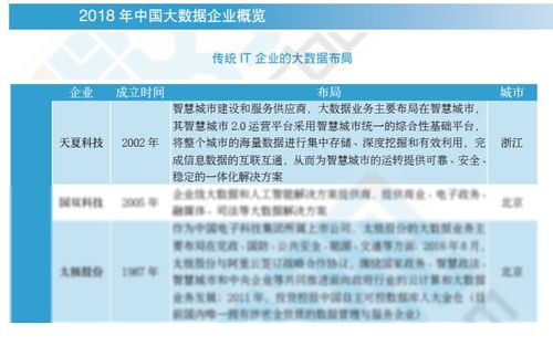 2018中國大數據企業報告出爐，天夏科技榮登IT企業大數據布局榜信息系統集成服務領域