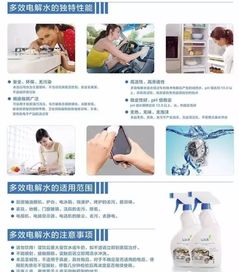 蘇州綠葉日用品 直銷網(wǎng)絡引領品牌發(fā)展